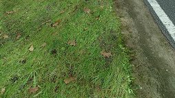 画像ギャラリー No.003のサムネイル画像 / 「Project CARS」のリアリティ溢れるゲームシーンを堪能できる最新トレイラーが公開に