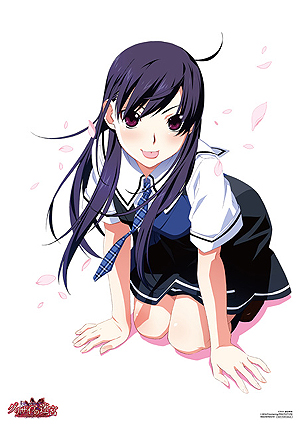 ꡼ No.029 | ȯΡ֥ꥶµܡסǿSSOPࡼӡŵξ󤬸֥ꥶβ̼¡פAndroidǤ꡼