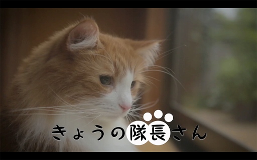 ꡼ No.002 | ֥ȡסͥо줹륭ʥդWEBư֤礦Ĺפ