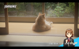 ꡼ No.003 | ֥ȡסͥо줹륭ʥդWEBư֤礦Ĺפ