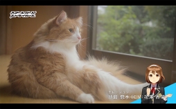 ꡼ No.004 | ֥ȡסͥо줹륭ʥդWEBư֤礦Ĺפ