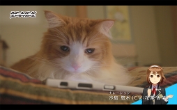 ꡼ No.005 | ֥ȡסͥо줹륭ʥդWEBư֤礦Ĺפ