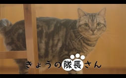 ꡼ No.006 | ֥ȡסͥо줹륭ʥդWEBư֤礦Ĺפ