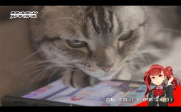 ꡼ No.008 | ֥ȡסͥо줹륭ʥդWEBư֤礦Ĺפ