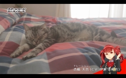 ꡼ No.002 | ֥ȡסͥĹWebư֤礦Ĺ2Ƥ