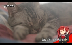 ꡼ No.003 | ֥ȡסͥĹWebư֤礦Ĺ2Ƥ