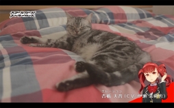 ꡼ No.004 | ֥ȡסͥĹWebư֤礦Ĺ2Ƥ