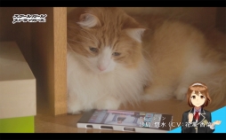 ꡼ No.007 | ֥ȡסͥĹWebư֤礦Ĺ2Ƥ