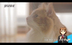 ꡼ No.008 | ֥ȡסͥĹWebư֤礦Ĺ2Ƥ