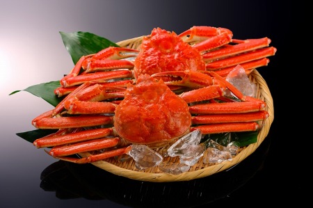 画像ギャラリー No.010のサムネイル画像 / 「スクスト2」,8K対応テレビなどが当たるプレゼントキャンペーン実施