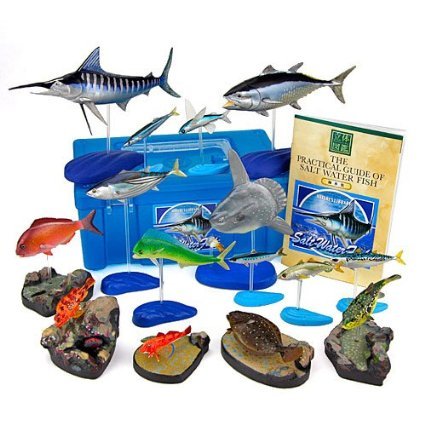 ������#003�Υ���ͥ���/�����äѡס���ʪ�Υ륢�����������⥢���ƥब���ʤΥ��٥����񥹥�����