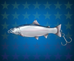 ������#004�Υ���ͥ���/�����äѡס���ʪ�Υ륢�����������⥢���ƥब���ʤΥ��٥����񥹥�����