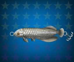 ������#007�Υ���ͥ���/�����äѡס���ʪ�Υ륢�����������⥢���ƥब���ʤΥ��٥����񥹥�����