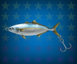 ������#009�Υ���ͥ���/�����äѡס���ʪ�Υ륢�����������⥢���ƥब���ʤΥ��٥����񥹥�����