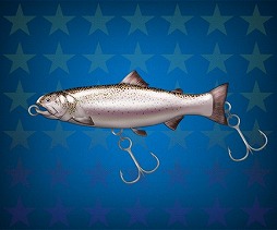 ������#003�Υ���ͥ���/�����äѡס����ޤǥ��������ɤ��館�����12��9���ޤǳ�����