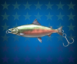 ������#005�Υ���ͥ���/�����äѡס����ޤǥ��������ɤ��館�����12��9���ޤǳ�����