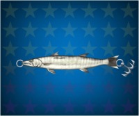 ���������꡼ No.003�Υ���ͥ������ / �����äѡס�AR������������פ�����Ǥ���֥������ͥ��˥��ޥ�������׼»�