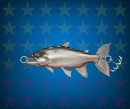 ���������꡼ No.004�Υ���ͥ������ / �����äѡס����ޥΥ߷�USB����ʤɤ�����Ǥ��������񤬳���