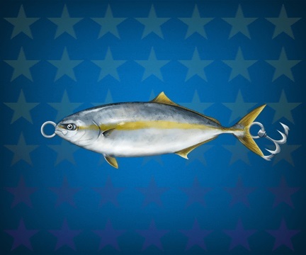 ���������꡼ No.002�Υ���ͥ������ / �����äѡפǥ��������Υҥ�ޥ������񳫺š����ʤϤ��󤮤緿����Ȣ