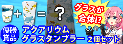 ���������꡼ No.002�Υ���ͥ������ / �����äѡפǥ��饹����֥顼���åȤ���館�륤�٥����񳫺�