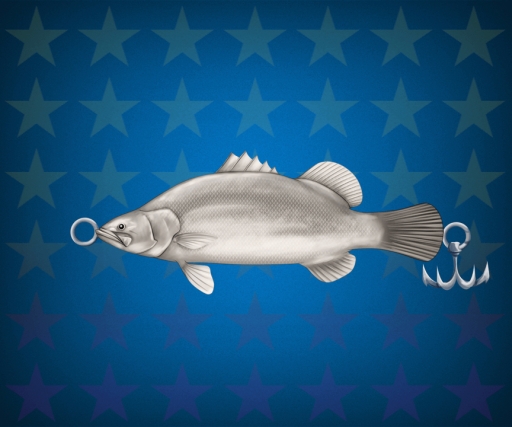 ���������꡼ No.003�Υ���ͥ������ / �����äѡפǡȥ���ϥ� �����ۥ�����ɤ����ʤ���񳫺�