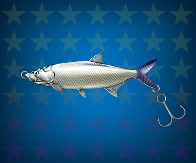 ���������꡼ No.005�Υ���ͥ������ / �����äѡס��֥����ƥ�ͤ��碌�פ���館�������񥤥٥�ȳ���