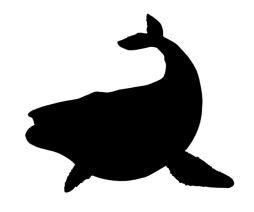 ���������꡼ No.003�Υ���ͥ������ / �����äѡפο��������쥨�ꥢ��̴����פ�8��29���˼���