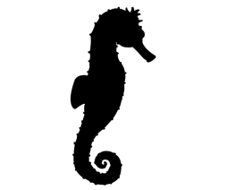 ���������꡼ No.004�Υ���ͥ������ / �����äѡפο��������쥨�ꥢ��̴����פ�8��29���˼���