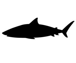 ���������꡼ No.005�Υ���ͥ������ / �����äѡפο��������쥨�ꥢ��̴����פ�8��29���˼���