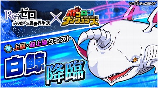 ꡼ No.005 | ֥ݥ󥸥󥺎˥Re:ϤפȤΥܴ褬