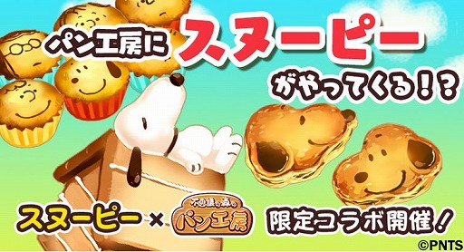 ꡼ No.003Υͥ / Ի׵ĤοΥѥ˼פǥ̡ԡȤΥܤ1029˥