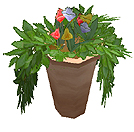 ������#011�Υ���ͥ���/PC�ѥ����׾�бĥ���֥����ԥ� �ޥ͡����㡼 ���ܸ��ǡפΥ�������������䤬�������ȡ��ץ쥤�䡼����������Ū�ʥ����׾����夲�褦