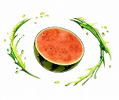 ꡼ No.005 | ־Ի2סꥯȡľˤʤ줿פ»ܡ奬㤬