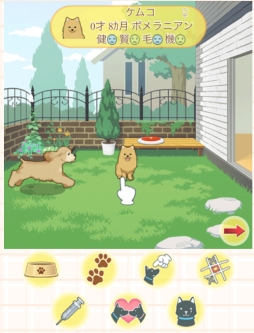 画像集#005のサムネイル/「ウチの犬〜飼い主になってください〜」がGoogle Playとケムコ帝国で配信