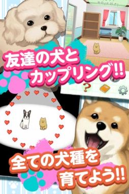 �����θ���������ˤʤäƤ���������