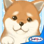 �ѥå�����