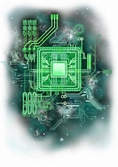 ������#013�Υ���ͥ���/��H��H �Хȥ륪���륹�������ס��ץ�ߥ��६����ˡ֥ͥե���ԥȡ��פ��о�