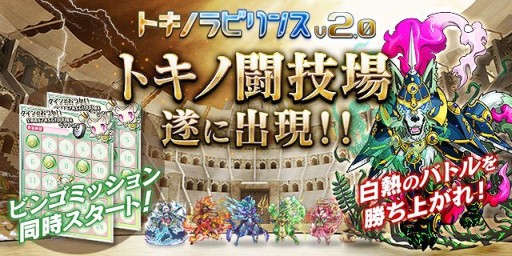 ꡼ No.001Υͥ / ֥ȥΥӥ󥹡סåץǡȤǥץ쥤䡼ƱΤ臘Ʈפʤɤ