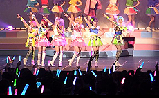 ���������꡼ No.005�Υ���ͥ������ / �֥ץ�ѥ�פΥ�����������TCG��ߥ塼�����롤���˥�˴ؤ���ǿ����󤬸������������Ǥȡ���ˡ��ŷ�� ���ꥣ�ߡ��ޥߡפΥ���ܤξܺ٤�