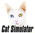 �ѥå�����