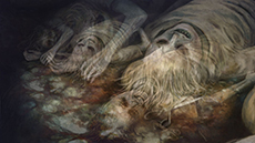 ������#017�Υ���ͥ���/�ֿ� ή�Ԥ���ס�����ե��å�������̲�����Фʤɶ��ݤ��Ф��뤳������Ҳ𡣿����ʥ��ʥꥪ2�Ԥ������