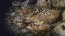 ������#018�Υ���ͥ���/�ֿ� ή�Ԥ���ס�����ե��å�������̲�����Фʤɶ��ݤ��Ф��뤳������Ҳ𡣿����ʥ��ʥꥪ2�Ԥ������