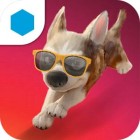 �ѥå�����