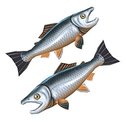 ���������꡼ No.018�Υ���ͥ������ / ����ǭ�ץ��������ȡפǡֻ�Ω�㷧�ر�פ������������ȡ����٥�ȥ������Ȥ򥯥ꥢ���ơ�4�Υ����������餪��