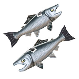 ���������꡼ No.020�Υ���ͥ������ / ����ǭ�ץ��������ȡפǡֻ�Ω�㷧�ر�פ������������ȡ����٥�ȥ������Ȥ򥯥ꥢ���ơ�4�Υ����������餪��