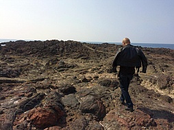 ���������꡼ No.015�Υ���ͥ������ / �ޥե������Ĥ��󼡸����褤������278��ֺ��Ǿ������ȥ쥢���Ф�ȱ��λؽ�ήϲ�͡�