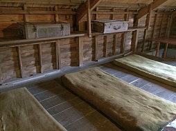 ���������꡼ No.025�Υ���ͥ������ / �ޥե������Ĥ��󼡸����褤������278��ֺ��Ǿ������ȥ쥢���Ф�ȱ��λؽ�ήϲ�͡�