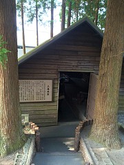 ���������꡼ No.028�Υ���ͥ������ / �ޥե������Ĥ��󼡸����褤������278��ֺ��Ǿ������ȥ쥢���Ф�ȱ��λؽ�ήϲ�͡�