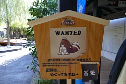 画像ギャラリー No.080のサムネイル画像 / 「白猫プロジェクト」×「大江戸温泉物語」コラボが本日スタート。限定グッズやコラボメニューなどを現地で確認してみた