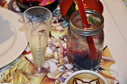 ꡼ No.035Υͥ / ǭץȡסˡȤȹǭΥפˤ꡼եëѥ륳˥ץ󡣲ͻҤեȥݡ